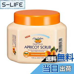 yzVG GgDx AYXNu }bT[WN[ n[h^Cv 550g {fBXNu e TCYF550O (x 1)