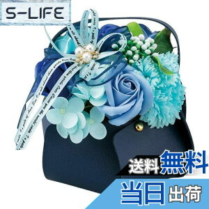 yzHƕ̓\[vt[Όfލ̂ԃV{t[TCY:H15×W14oXPbgNAP[Xu[sAi [sAi]