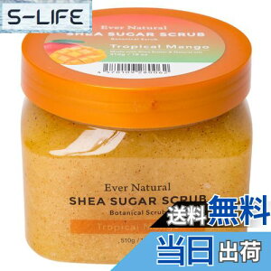 yzEver Natural Go[i` VAVK[ {fB[XNu 510g {fBPA }bT[W K I G ݃PA pPA VR