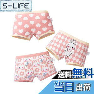 yz[HOLRAFAN] q pc ̎q 3Zbg  LbY K[Y Zp WjAV[c  킢 _炩 ʋC  qD Sn FF1/sN-BATCY