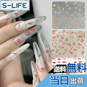 yzChisafly lCV[  lCXebJ[ AWTC z 2Zbg FF