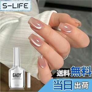 yzGAOY }OlbglC WFlC PF UVELEDΉ |bV^Cv ZtlC S&vKp FFACV[k[h