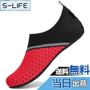 yz[SAGUARO] }V[Y  Y fB[X y RpNg r[`V[Y  tBbglX Vm[PO p  FFj[bhATCYF26.0~27.0