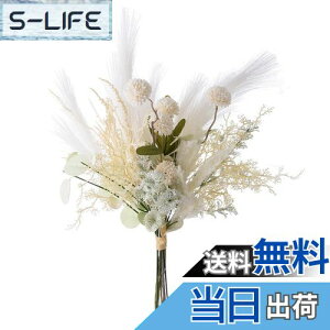 yzWillingYou  ԑ zCg u[P EFfBO KN o _A p e fCW[ LC  ͂Ȃ G^[i uC_u[P  CeA Ǌ| OB