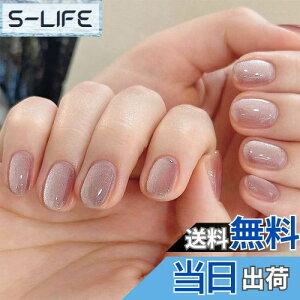 yzFINGOOO lC`bv }Olbg^Cv 24 ʃe[vt t  Eh`bv WFlC LL Vv  t H~ FFsNC V[g ~fB