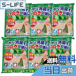 yzA[XEybg LЂ̂̔L 7L×6(P[X̔) gCɗ ؐL ł܂ L R