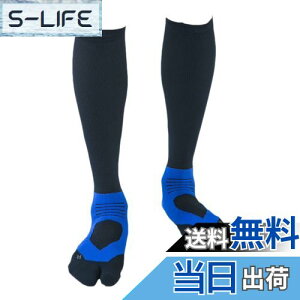 yz[e[W] AX[gEhPRO(v) v2 St\bNX (25-27cm, u[) { Y/fB[X ~ iK nC\bNX Stp C IF37 FFu[