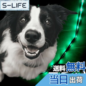 �y���������zTERUI Lights Osaka �� ���郊�[�h LED �[�d�� USB-C ��� �U�� �����[�h ���C�g 1.2m ���� ���[�h ���� �S������ �h�� 16���Ԏg�p ���̓o�b�e���[ �����P�[�u�� ���^�� ���^�� ��^�� ���S