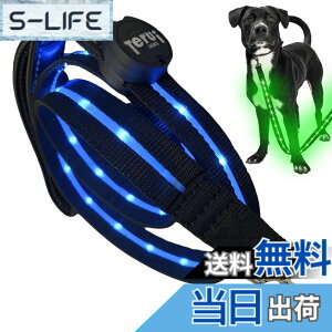 �y���������zTERUI Lights Osaka �� ���郊�[�h LED �[�d�� USB-C ��� �U�� �����[�h ���C�g 1.2m ���� ���[�h ���� �S������ �h�� 16���Ԏg�p ���̓o�b�e���[ �����P�[�u�� ���^�� ���^�� ��^�� ���S