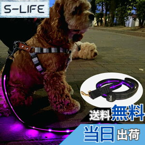 �y���������zTERUI Lights Osaka �� ���郊�[�h LED �[�d�� USB-C ��� �U�� �����[�h ���C�g 1.2m ���� ���[�h ���� �S������ �h�� 16���Ԏg�p ���̓o�b�e���[ �����P�[�u�� ���^�� ���^�� ��^�� ���S
