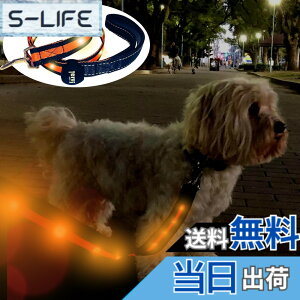 �y���������zTERUI Lights Osaka �� ���郊�[�h LED �[�d�� USB-C ��� �U�� �����[�h ���C�g 1.2m ���� ���[�h ���� �S������ �h�� 16���Ԏg�p ���̓o�b�e���[ �����P�[�u�� ���^�� ���^�� ��^�� ���S