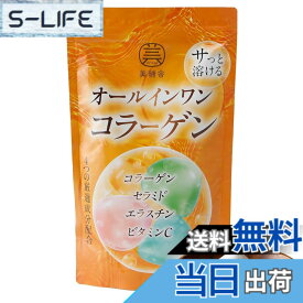 【送料無料】オールインワンコラーゲン 4種の美肌成分 低分子 コラーゲンペプチド セラミド エラスチン ビタミンC 粉末 パウダー collagen 120g