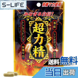 �y���������z���E�L���� SP ���͐� 20���� 40�J�v�Z�� �T�v�� �L�@�}�J ���� �V�g������ ���N�i �g���J�b�g�A��