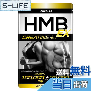 �y���������zHMB100,000mg �N���A�`�� ���m�n�C�h���[�g70,000mg �T�v�������g ���������y�p�[�\�i���g���[�i�[�ďC�zL-�J���j�`�� L-���W�� 450�� (x 1)