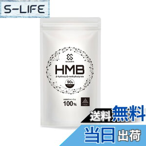 �y���������zHMB100%�p�E�_�[90,000mg -�v���e�C���Ƀv���X