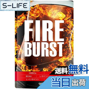 �y���������z�yFIRE BURST�z L-�J���j�`�� BCAA�z�� �T�v�� ���I�f�� 90����