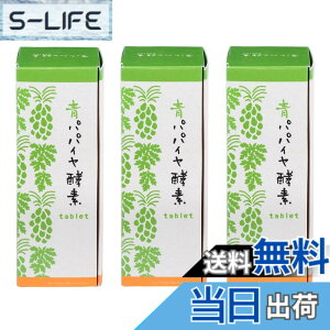 �y���������z�p�p�C���y�f�^�u���b�g�^�C�v(0.5gx6��)x30��x3��