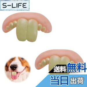 �y���������zPAVIKE ���p�ʔ������ꎕ �i2����j���̓��ꎕ �y�b�g���ꎕ�������� ���̎��̃u���[�X ���p���ꎕ�ʔ��� �y�b�g���̓��ꎕ�̂������� �E�T�M�̑O���̓��ꎕ�J�o�[ �g���b�L