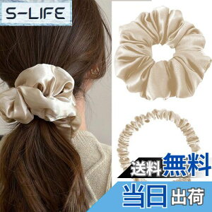 yzJetWave VN100% VV 2_Zbg Ղɂ  LfUC _[WX ^AW  v[gɂœK (VpS[h)