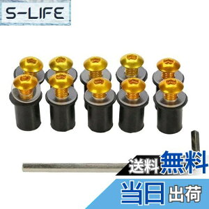 �y���������zLOYELEY �X�N���[���{���g 10�Z�b�g M5 5mm �{���g �E�F���i�b�g ���h�l�W �E�C���h�X�N���[�� �J�E����X�N���[���̌Œ� ���b�V���[�E�Z�p�����`�t�� �J���b�N �I�[�g�o�C �o�C