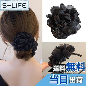 yzHAPVITAL  ob^ p[ JA oiiNbv wANbv fB[X ȒP p 傫 wAAW wAANZT[ JA ~joX Nbv [Y 