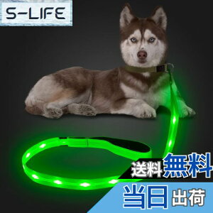 yzCandofly ˌ^ LED p[h - ÈłŌ錢p[h USB [dƖtp[vA4 tB[g̑ϋv̂ϐ_Ōp[hAybǧ̖̎Up ()