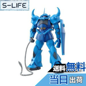 �y���������zBANDAI SPIRITS(�o���_�C �X�s���b�c) MG �@����m�K���_�� MS-07B�O�t Ver.2.0 1/100�X�P�[�� �F�����ς݃v�����f��