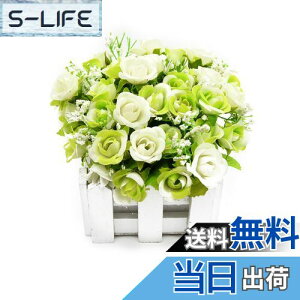 yzBEADY ~j_C[o lHϗtA  G} tFCNO[ CeA Mtg j (ԍ(zCg), O[&zCg)