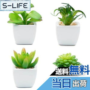 yzTOSSOW lHA ~j lHϗtA  ͂Ȃ CeA 4_Zbg ` v[g