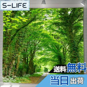 yzU-SITU ^yXg[ Ǌ| Ǐ ъԓH X  RiF IV wi @\ z|X^[ CeA ͋C]iTCYF180cm x 180cmjJ[FGT0794FC