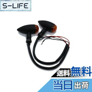 yzBeatus eی^ ~j ECJ[ lWa10mm oCN ėp JX^ p[c 12V 2Zbg LEDł͂܂ (ubN×Ao[ 2)