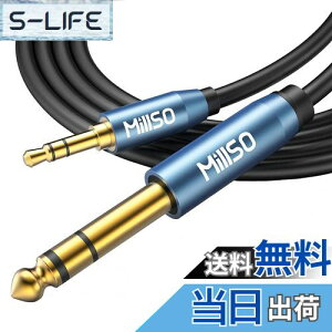 yzMillSO 6.35mm 3.5mm ϊP[u IX-IX I[fBIϊP[u 3.5mm~jvO to 6.35mmWvO 24bL XeIP[u 2.4m u[