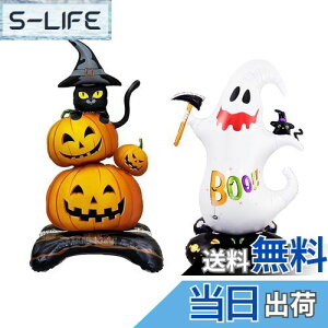 yzDFsucces nEB o[ 2 nEB  D ڂ S[Xg u  O  z[fR[Vp p[eB[ 