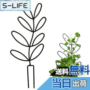 yzYUWENW |x Ax 1Zbg Ԃ Ԏx AT|[g ϗtA T|[g A|h~ Œ\ ėp\ AŒ A UT|[g 鐫Ap 