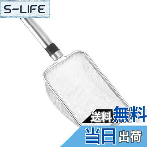 yzLEDMOMO LXRbv XeX| LXN[v ӂ邢XN[p[ S~XN[vz_[ r[`bVVx L 񂿂ӂ邢Vx bV XRbv  X