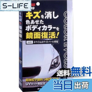 yz\tg99(SOFT99) bNX WAX J[G{[V zCg&zCgp[ ԓhʂ̃LYAیyщop ی܁Ap@NX2ApX|W 005