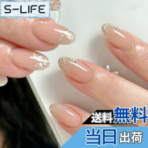 yzYINKE lC`bv 24 V[g H~ lC`bv lC a 킢 Vv lC lCV[  ㋉ l w Ǝ  p[eB[ 퐶