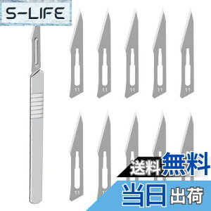 yzHƗpX nhX Yf|ޗ DIY ؍H NtgiCt u[h͌\ł AؒfA蒤AUȂǂ i 11p*1pcs+11n*10pcs j