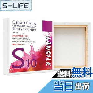 yzHANSILK LoX S10 LoX `  G{[h  ʁEANp 100mm*100mm 4Zbg