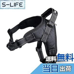 yzpn[lX[_[Zbg   bV \tg Ȃ ʋC ߉\ h~ ^ ^ U/P/o| (XS, ubN)