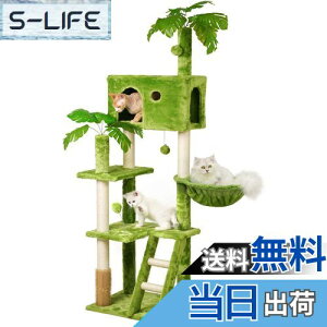 yzMeecal Lbg^[ ^Lp tt L^[  ω׏d10KG Lbg^[^ ܌|[ nbN ]|h~u LbgnEX L }bT[W VRR W]