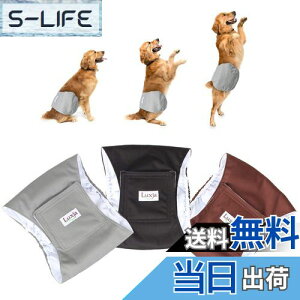 yzLuxja p}i[xg j̎q bV h Lk 3_Zbg }[LO R炵 IVbR΍ o  p(M,+O[+R[q[F)