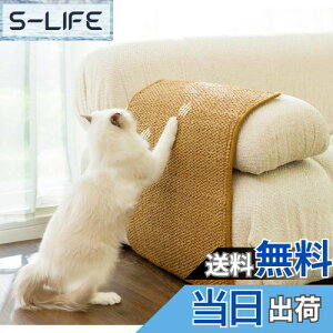 yzFTBOL L ܌  ܌V[g \ ܌V[g \t@ yh~z  L̒܌ A\t@AƋAǂɓ\ ϖ ܂Ȃ (XS:20x30cm)