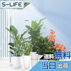 yzJCBritw 100W A琬CgX^ht  tA LEDACgw̍Ap ͔| c؍͔| ԐA͔|k͔|v ؍H A͔|H /|ɓK