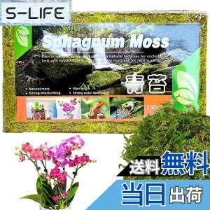 yzDEVENTORZ  - VR  k ~YSP 150g Ӓ A ւ |p |{y ݂|py yǍ kp엿p~YSP  h{fLx A