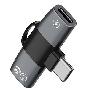 yzyiPhone 16/15 V[YΉz 2in1 ^CvC Czϊ A_v^ Topamz yȂ[dł Type-C to fAUSB-C CzWbN PD 100W}[d DAC Hi-Fi ʘb/ʒ