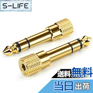 �y���������zAncable �C���z���W���b�N �ϊ� �v���O 2�{ �X�e���I�~�j�v���O 6.35mm 3.5mm �ϊ� �A�_�v�^ ���X�I�X �w�b�h�z�� �A���v �d�q�s�A�m �C���z���ȂǗp