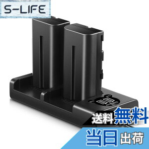 �y���������zENEGON Sony NP-F550/NP-F570�݊��o�b�e���[�i2�j2900mAh+USB�[�d�� �Ή�NP-F530/ NP-F550 /NP-F570/ NP-F330/ CCD-RV100/ RV200/ TR1 /TR940 /TR917 /CN-160 /CN-216 /CN-304 /YN 300 /V607u /V617u