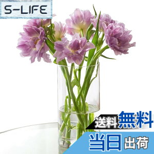 �y���������zWillingYou �ԕr ����Ȃ� ������ �t�����[�x�[�X �y�n�k�΍�E�q��/�y�b�g�Ɉ��S�z �K���X�̂悤�ȓ����� ������� ���k�͔| ��֑}�� ���d ���� �I�t�B�X �C���e���A (10cmx30cm)