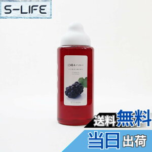 �y���������z���{�I�� ����&�n�j�[ 1000g